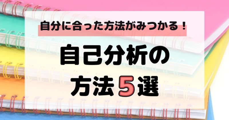 マドゴシ_自己分析